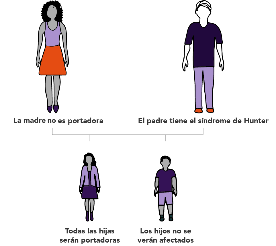 Dibujo de madre portadora de la MPS II, Padre afectado por el síndrome de Hunter, Hija con 50% de probabilidad de ser portadora del síndrome de Hunter, Hijo con 50% de probabilidad de ser afectado por el síndrome de Hunter